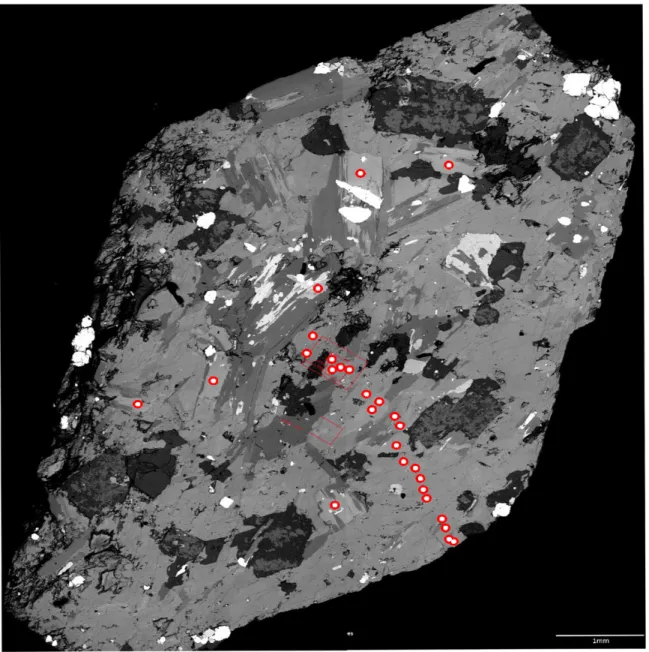 Figure 11: Image of hornblende H6 with probe points marked.