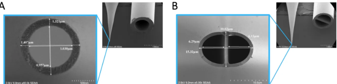 Figure 1. Scanning electron microscopy (SEM) images of an overview of pulled and non-pulled  ends of borosilicate glass (a) nanocapillary and (b) theta capillary 