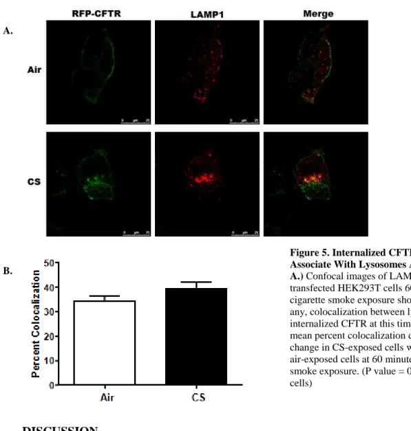 Figure 5. Internalized CFTR Did Not 