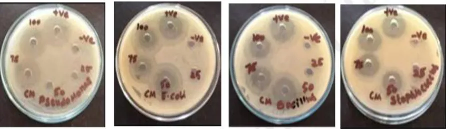 Table 3. Antibacterial activity of methanol leaf extracts of C. urens 