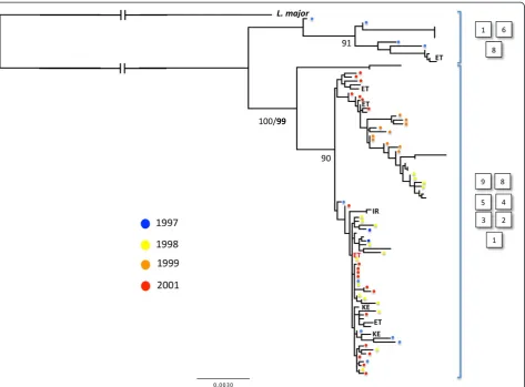 Figure 3 Unrooted maximum likelihood (ML) tree based on Sudanese L. donovani diplotypes across ten loci (13 kb in total)
