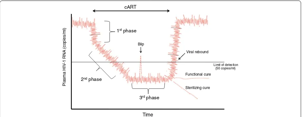 Figure 1 Dynamics of plasma virus levels in a cART-treated HIV + individuals. After initiation of cART, viremia undergoes three phasesreflecting the decay rates of different populations of HIV-1 latently infected cells