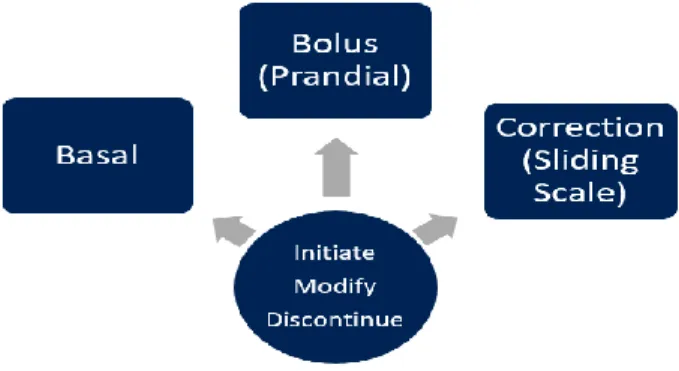 Figure 1: Possible intervention options. Students propose an intervention to initiate, modify or discontinue any component of a patient’s insulin  regimen