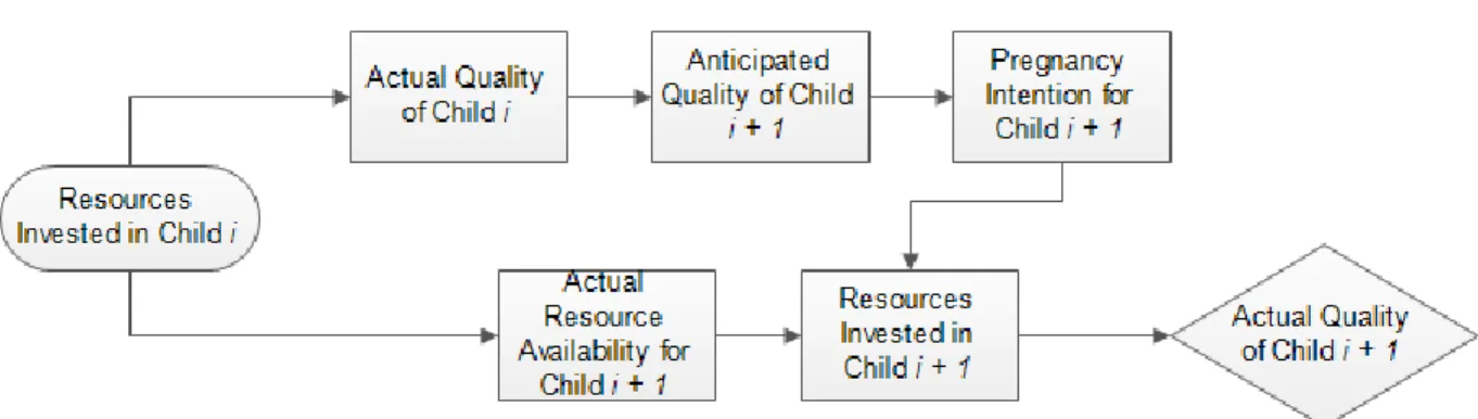 Figure 2. Model of Sibling Feedback 