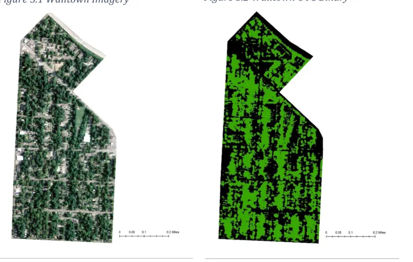 Figure 5.3 Walltown Zoning 