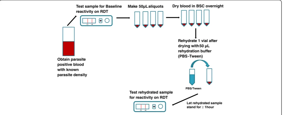 Figure 1 Schematic diagram for preparing dried blood tubes for malaria RDT QC.
