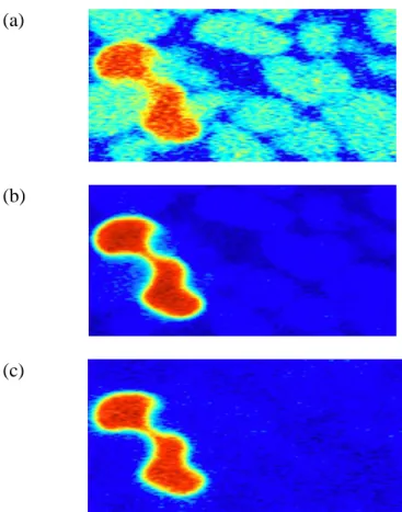 Figure 1.  Visualized X-ray transmission values for a cross-section of the column using beam  energies above the cesium K-edge (a), between the iodine K-edge and the cesium K-edge (b) and  below the iodine K-edge (c)
