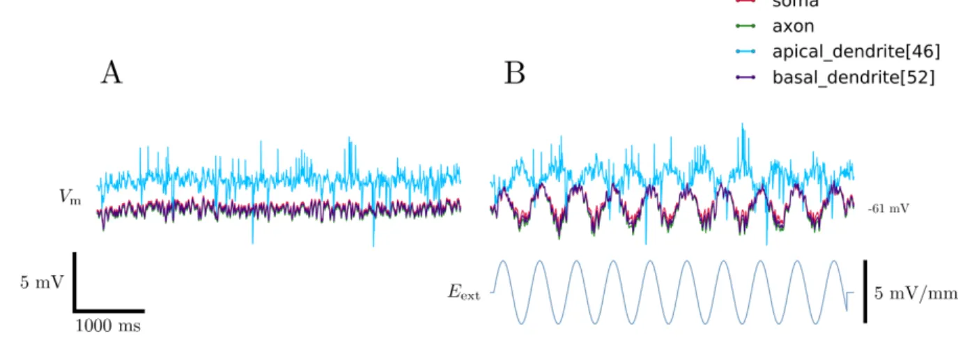FIG. 12. Effects of an oscillatory electric field applied to a neuron model. A. Resting membrane potential with noisy synaptic input