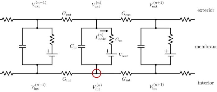 FIG. 5. A finite-difference approximation of the electrical properties of a neuron’s membrane
