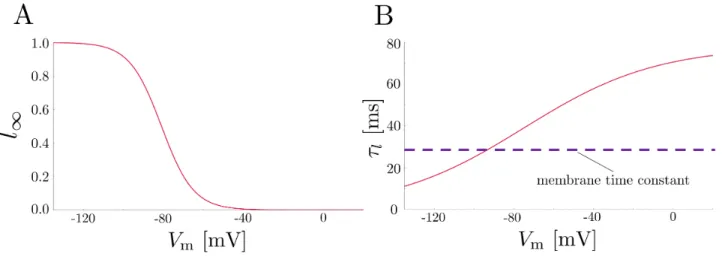 FIG. 9. Biophysical characteristics of the hyperpolarization-activated cation (I h ) channel
