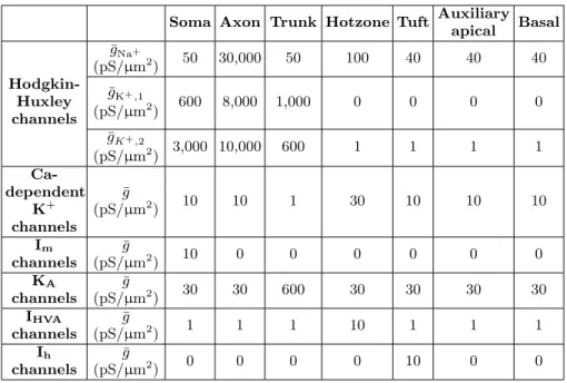 TABLE I. Selection of parameters applied to primary L5 pyramidal neuron model.