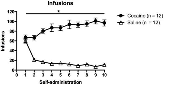 Figure 2. Infusion intake throughout the 10 days of self-administration. Animals in the cocaine  group (n = 12) administered significantly more than the saline group, (n = 12), analyzed by a  two-way ANOVA where p < 0.05 was considered significant