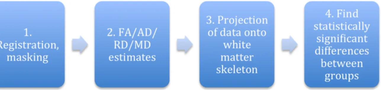 Figure 1: A rough guideline of the steps for DAB-TBSS 