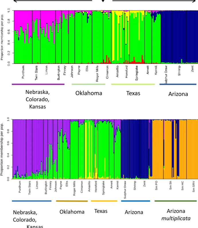 Fig. 3. Structure plot showing (A) 4 distinct populations along the range of S. bombifrons and  (B) 5 distinct populations along the range of S