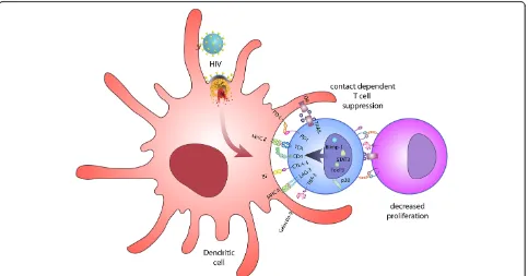 Figure 1 Infection with HIV facilitates the upregulation of inhibitory molecules in T cells