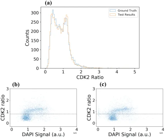 Figure 5.3: a. Comparison of CDK2 ratio distributions based on ground truth and model output masks