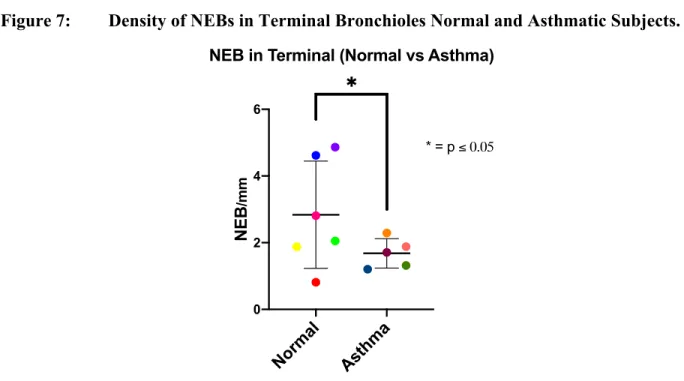 Figure 7:  Density of NEBs in Terminal Bronchioles Normal and Asthmatic Subjects.  Normal As th m a0246NEB/mm