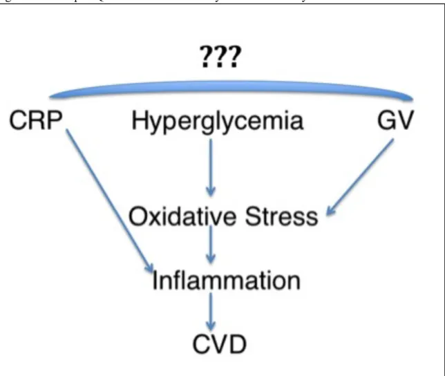 Figure 1. The Open Question of Whether Glycemic Variability is Associated with CRP  	   	   	   	   	   	   	   	   	   	   	   	   	  