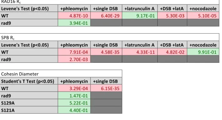 Table S2. p values using Levene’s test for R c  and Student’s t-test for cohesin diameter 