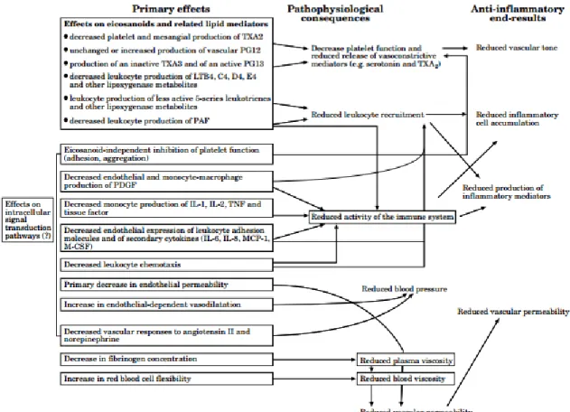 Figure 6: The effects of using ω-3 polyunsaturated fatty acids as precursors for eicosanoid  synthesis 14