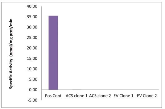 Figure 10: Negligible specific activity of ACSL4 and EV lysates with palmitate compared to  positive control of total particulate from mouse liver  