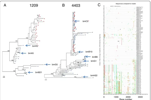 Figure 1 Phylogenetic comparison of virusmothernot available for virus sequencing until 12 months of age, thus infant virus evolution away from the transmitted maternal variant had occurred.The infant of maternal subject 4403 (sample collected at the same 