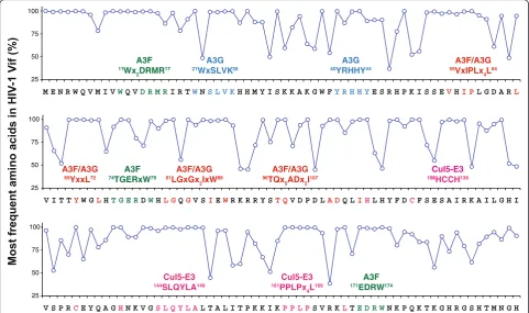 Figure 3 Amino acid sequence homology of known HIV-1 Vif functional motifs. Numbers indicate amino acid positions