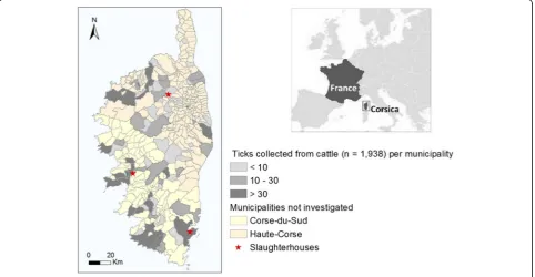 Fig. 1 Distribution of the ticks collected from cattle in Corsica