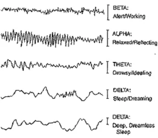 Figure 1: From Ned Herrmann [76]