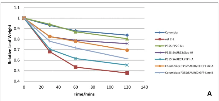 Figure 4A: Representative data of leaf water loss over a period of 120 mins.   