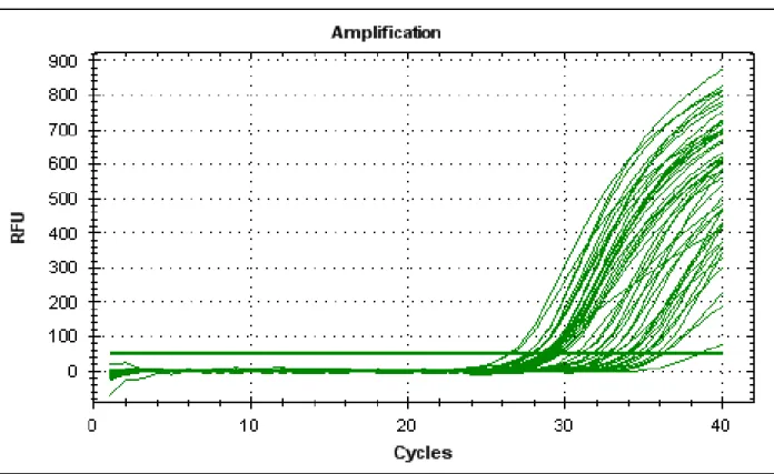 Figure 5. Amplification curves plotting relative fluorescence units versus number of  thermal cycles for FGF21