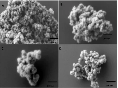 Figure 1 Scanning electron micrograph (SEM) images for different magnetic nanoaggregate formulations