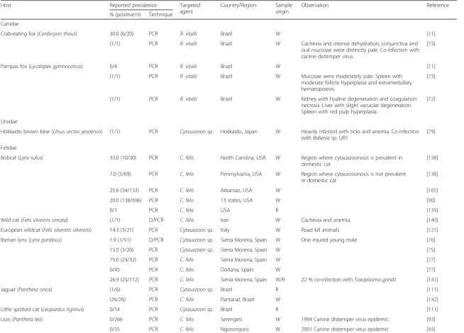 Table 2 Molecular studies of Rangelia vitalii and Cytauxzoon sp. infections in wild carnivores