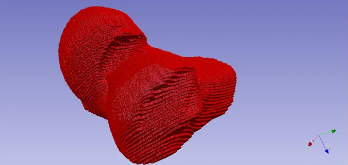Figure 8: The surface mesh of the femur dataset labeled 001, which is the output of GenParaMesh and will then be mapped onto  parametrized spheres with different iterations