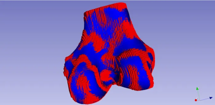 Figure 16: The overlay of the original surface mesh (red) of the femur dataset labeled 001 and the SPHARM surface mesh of it  with conformal mapping initialization parametrization with iteration 500 (blue)