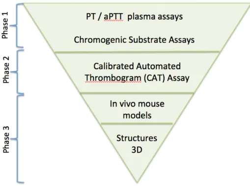Figure 3. Our tiered plan to analyze the Tidwell library of cationic compounds. 