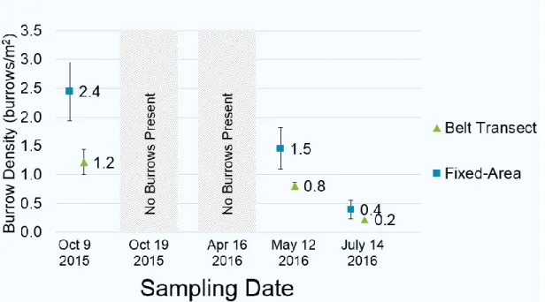 Figure 6: Mean ghost crab burrow densities (burrows per m 2 ) for each study site, differentiated by  method used (Fixed-Area or Belt Transect)