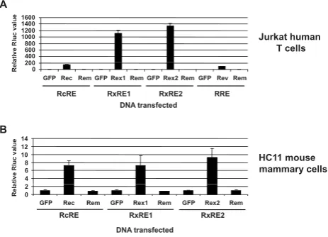Figure 8Rem lacks activity on heterologous RNA exportheterologous export elements in HC11 mouse mammarycells