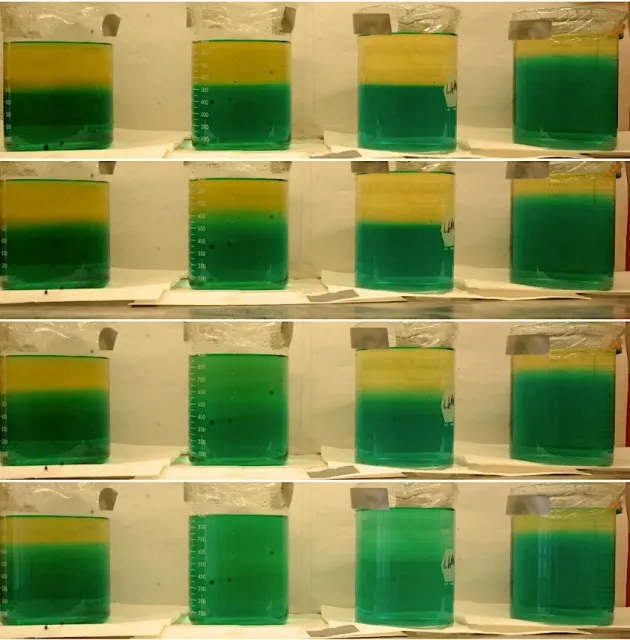 Figure 5: Diffusion stratified with KCl and dye at t= 0, 5.5, 24.4, 66.2 hrs, density increasing from right