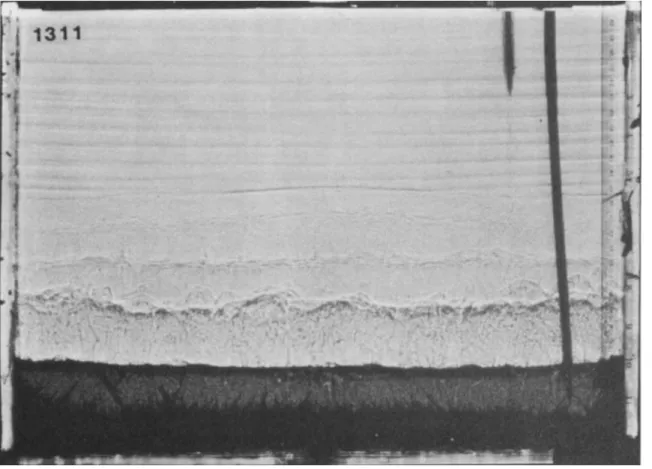 Figure 2: A series of convecting layers and ’diffusive’ interfaces, formed by heating a gradient of K 2 CO 3 solution from below [3].
