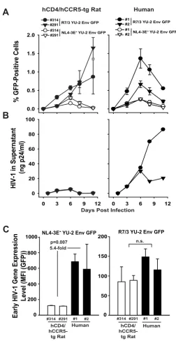 Figure 8flow cytometry and (B) the p24 concentration in culture supernatants by antigen ELISA until day 12 p.i