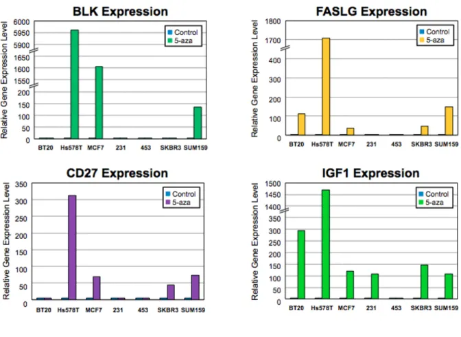 Figure 2: Expression of Genes Regulating Pro-Apoptotic Pathways in Control and   5-aza Treated Cell Lines 