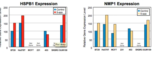 Figure 3: Expression of Genes Regulating Anti-Apoptotic Pathways in Control and   5-aza Treated Cell Lines 