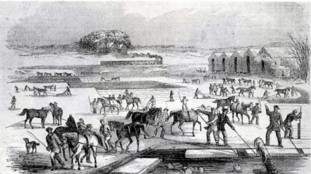 Figure 5. Ice harvesting at Spy Pond in Massachusetts, with train in background. 1852