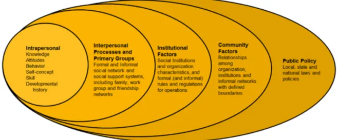 FIGURE 1 THE SOCIAL ECOLOGICAL FRAMWORK FROM ACHA.ORG, ADAPTED FROM MCEROY, KR.,  STECKLER, A., AND BIBEADU, D