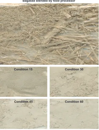 Figure S1 Sugar cane fiber processing conditions.Notes: After blending, a proprietary method was used to reduce the remaining components (bagasse) to nanometer-sized particles