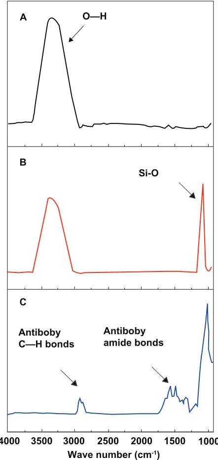Figure 3 Synchrotron XRD spectra of (A) α-Fe2O3, (B) Fe3O4, (C) MNPs, and (D) APTES-modified MNPs.Abbreviations: XRD, X-ray diffraction; MNPs, magnetite nanoparticles; APTES, 