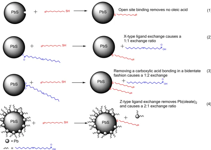Figure 2. Four possible binding motifs and their predicted exchange ratios.  