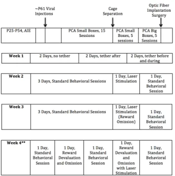 Figure   1:   Timeline   of   Surgery   and Behavioral Training