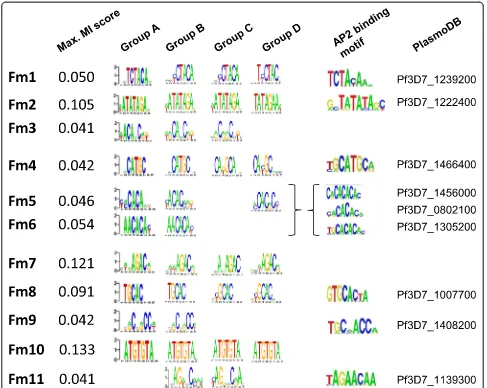 Figure 2 FIRE motifs (Fm1–11) – a triaged list of putative cis-regulatory elements. Eleven DNA motifs were repeatedly discovered fromsearches of sequences groups A to D